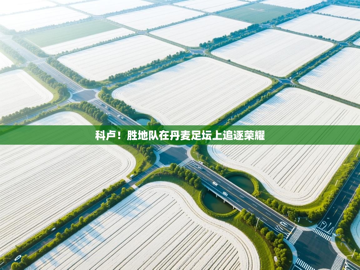 科卢！胜地队在丹麦足坛上追逐荣耀  第1张