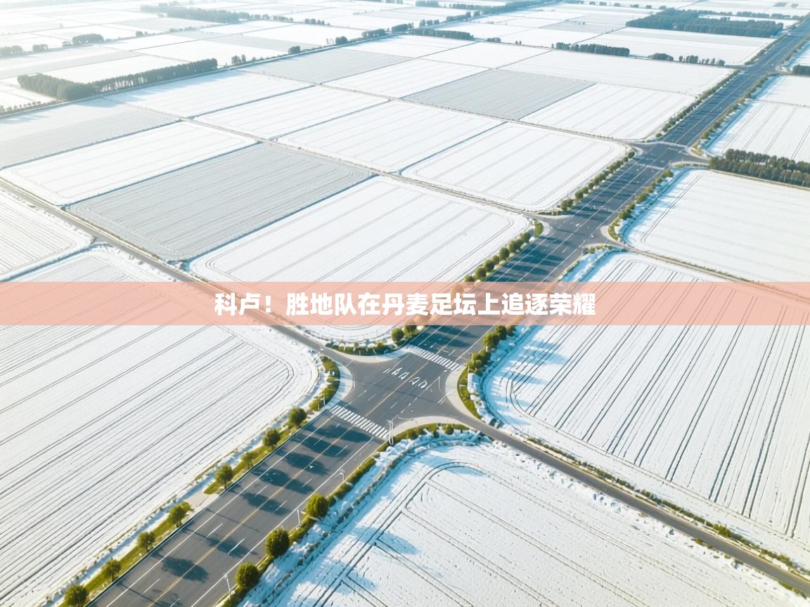 科卢！胜地队在丹麦足坛上追逐荣耀  第2张