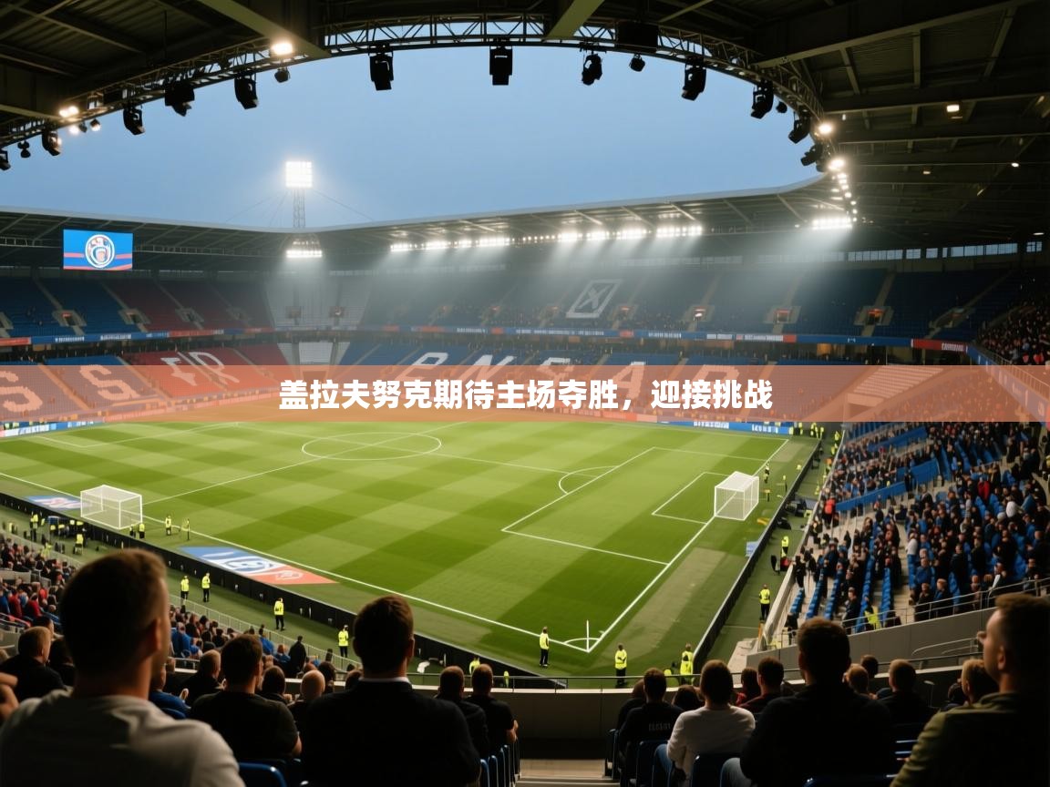 盖拉夫努克期待主场夺胜,迎接挑战 第2张